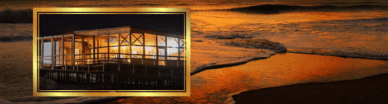 SV GIF - Todo el año